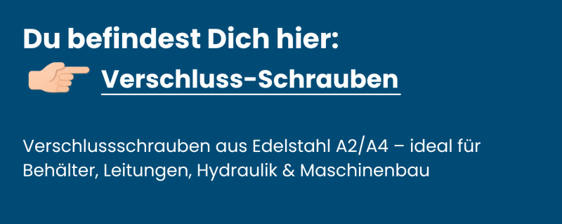 Kategorie-Verschlussschrauben-aus-Edelstahl