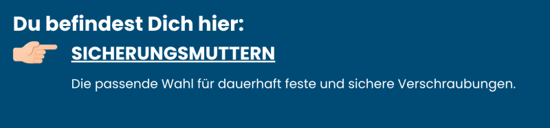 Sicherungsmuttern aus Edelstahl