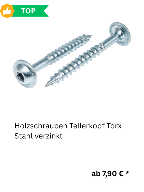 Holzschrauben Tellerkopf Torx Stahl verzinkt 