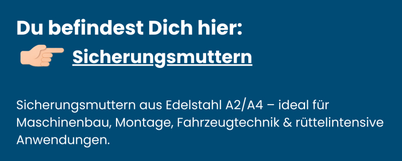 Sicherungsmuttern aus Edelstahl