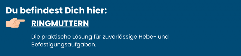 Ringmuttern aus Edelstahl