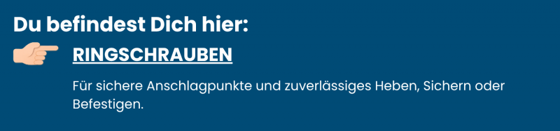 Ringschrauben aus Edelstahl – für sichere Befestigungen, Hebepunkte und vielseitige Montageaufgaben.