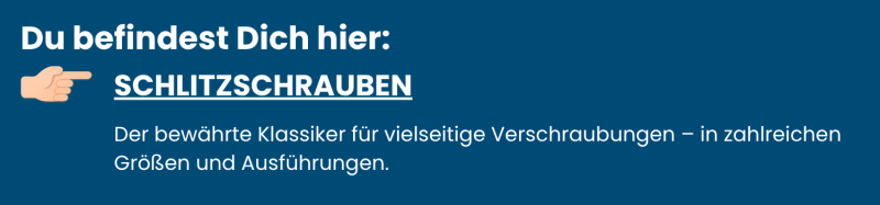 Kategorie-Schlitzschrauben