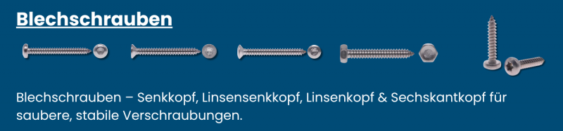 Blechschrauben Torx Edelstahl A2 + A4 