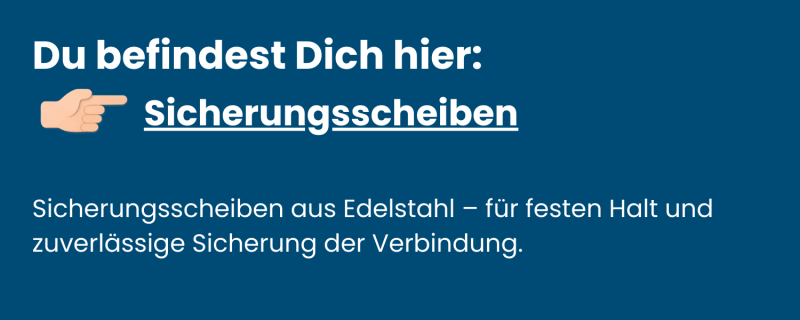 Kategorie-Sicherungsscheiben-aus-Edelstahl