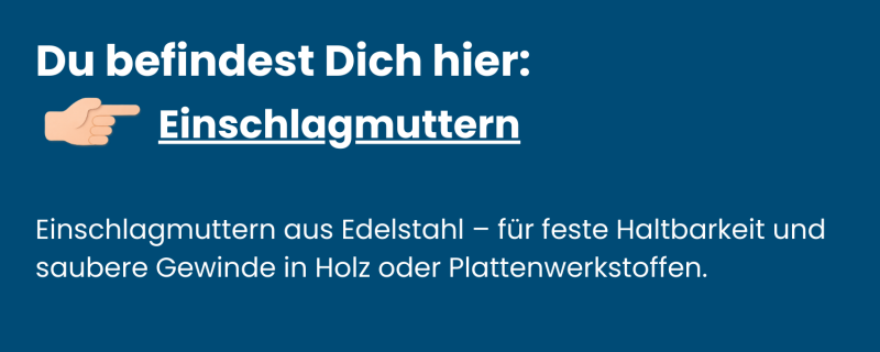 Einschlagmuttern Edelstahl