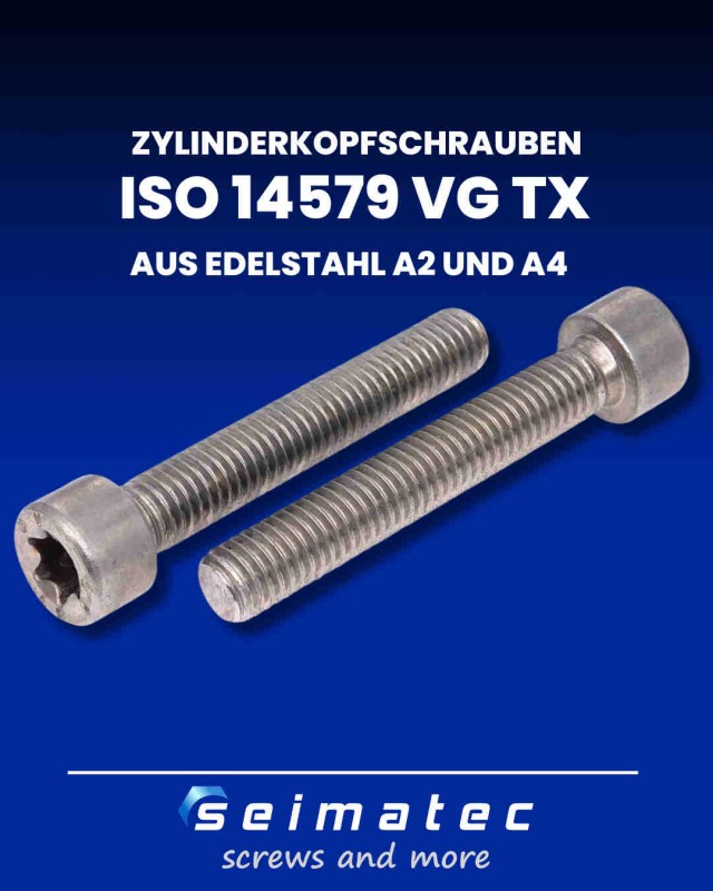 14579-Zylinderkopfschrauben-VG-mit-TX-Antrieb