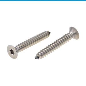 Blechschrauben Form C Senkkopf mit Innensechsrund TX Edelstahl A2 ISO 14586 Blechschrauben Form C Senkkopf mit Innensechsrund TX Edelstahl A2 ISO 14586