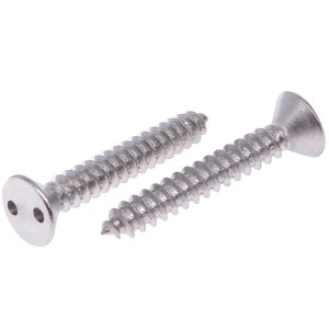 Sicherheitsschraube Seko 2 Loch mit Blechschraubengewinde Edelstahl A2