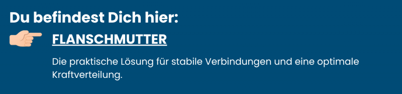 Flanschmuttern Sechskant Edelstahl