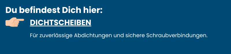 Kategorie-Dichtscheiben-aus-Edelstahl