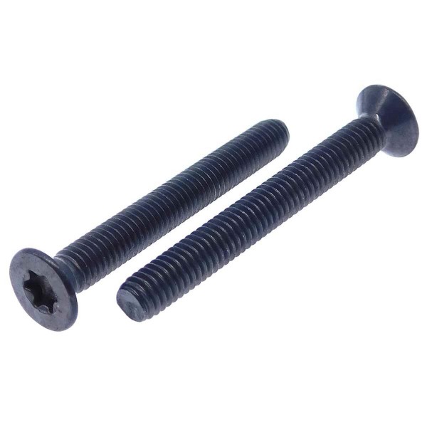 Senkschraube Edelstahl A4 schwarz ISO 14581 mit TX-Antrieb