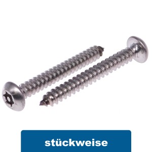 Halbrundkopf-Sicherheitsschrauben Edelstahl A2 - 5,5x50mm (100 Stück)