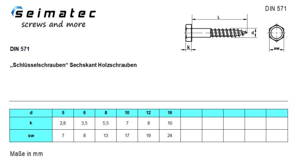 E-NORMpro Sechskant-Holzschraube DIN 571 Edelstahl A2 10 X 70 Mm  100 Stueck E Normpro