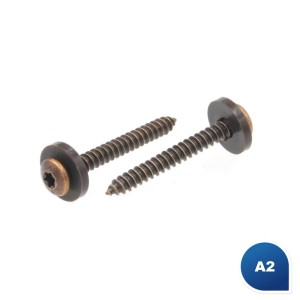Fensterbankschrauben TX Edelstahl A2 mit Poly-Scheibe braun Fensterbankschrauben TX Edelstahl A2 mit Poly-Scheibe braun