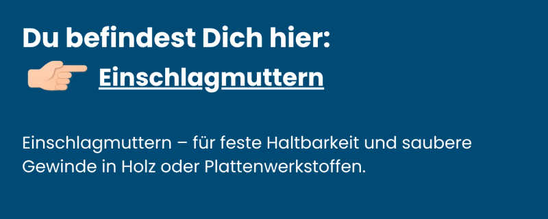 Einschlagmuttern Edelstahl