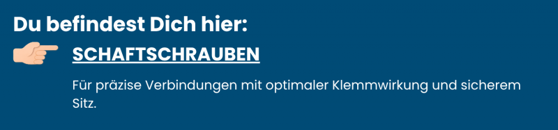 Schaftschrauben aus Edelstahl A2/A4 – perfekt für Lagerungen, Gelenke, Maschinen- und Gerätebau.