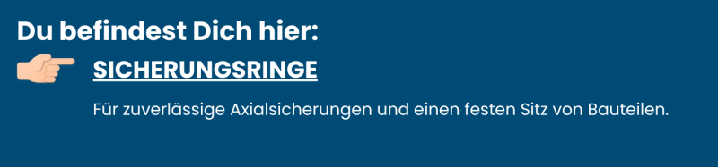 Kategorie-Sicherungsringe-aus-Edelstahl