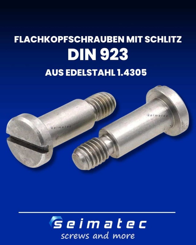 Schlitzschrauben mit Schaft und Ansatz aus Edelstahl A2
