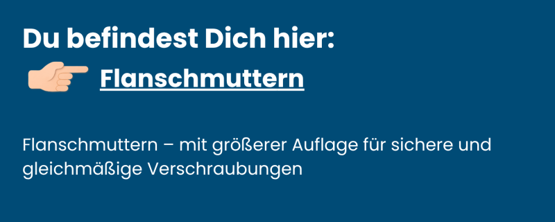 Flanschmuttern Sechskant Edelstahl