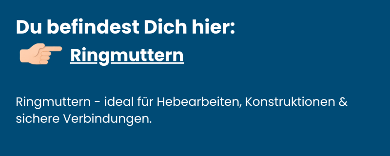 Ringmuttern aus Edelstahl