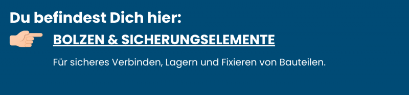 BOLZEN & SICHERUNGSELEMENTE Für sicheres Verbinden, Lagern und Fixieren von Bauteilen.