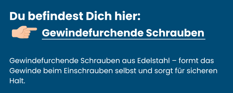 Gewindefurchende Schrauben
