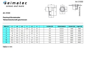 Vorschau: Blindnietmutter Einnietmutter Flachkopf Teilsechskant geschlossen Edelstahl A4 Vorschau: Blindnietmutter Einnietmutter Flachkopf Teilsechskant geschlossen Edelstahl A4