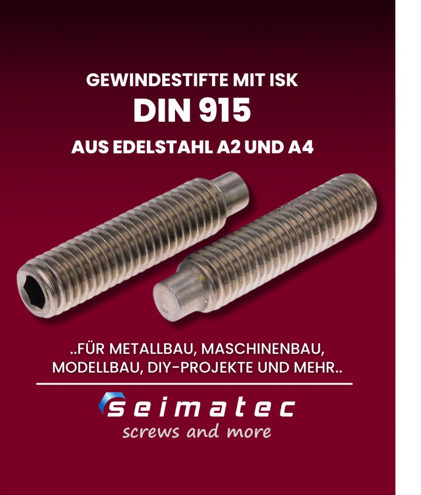 915-Gewindestifte-mit-Zapfen-und-Innensechskant-aus-Edelstahl-A2-und-A4