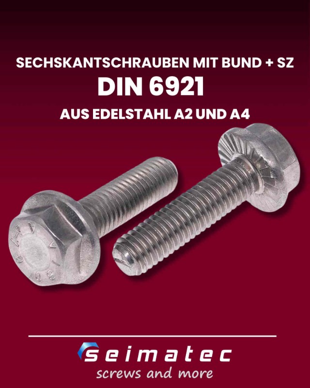 Sperrzahnschrauben aus Edelstahl A2 oder A4