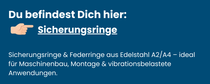 Kategorie-Sicherungsringe-aus-Edelstahl