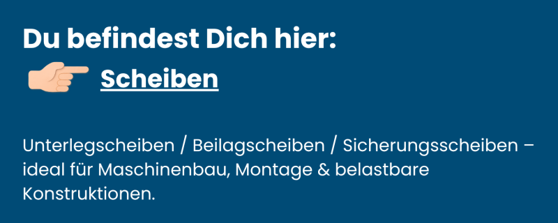 Kategorie-Scheiben-aus-Edelstahl