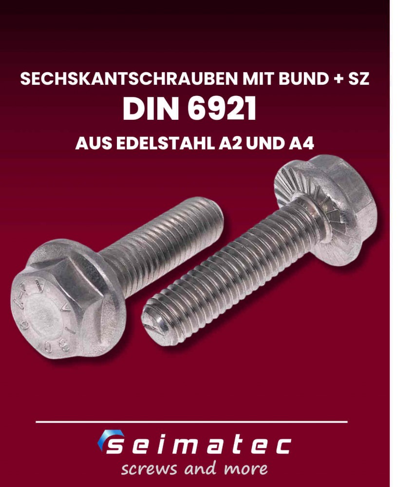 6921-Sechskantschrauben-mit-Bund-und-Sperrverzahnung-aus-Edelstahl-A2-und-A4