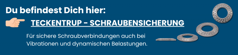 TECKENTRUP Sicherungsscheiben