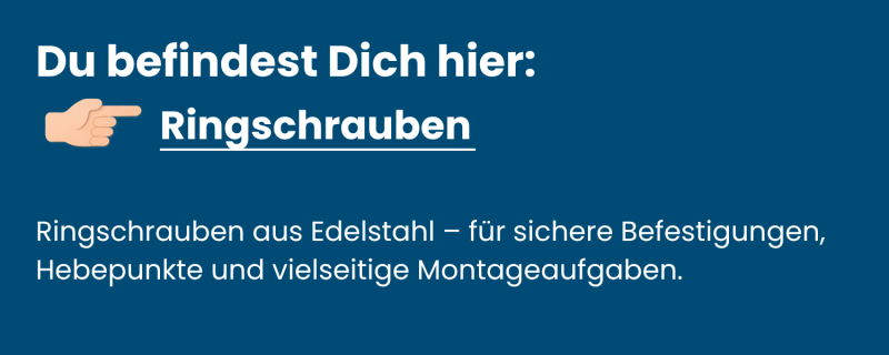 Ringschrauben aus Edelstahl – für sichere Befestigungen, Hebepunkte und vielseitige Montageaufgaben.