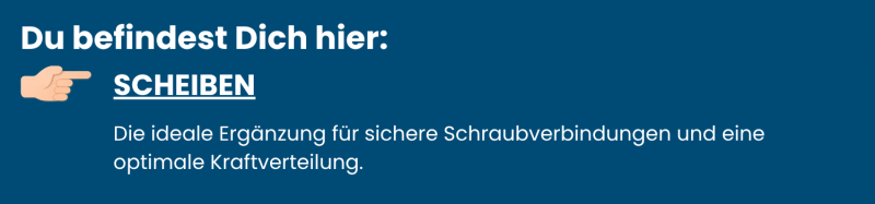 Kategorie-Scheiben-aus-Edelstahl