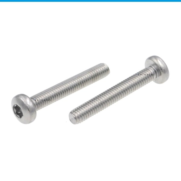 Schrauben M2,5x4mm Linsenkopf Rostfrei