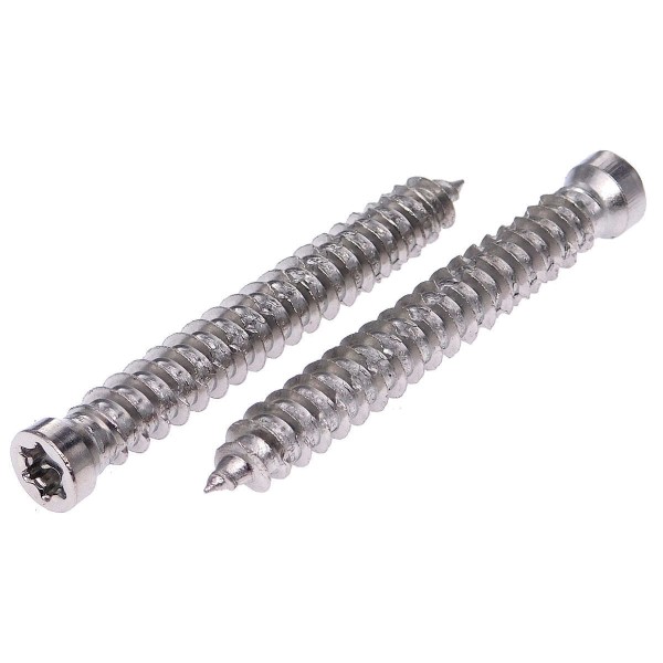 Fensterrahmenschraube FRS Edelstahl A2 TX Kopf Ø 8,0 mm