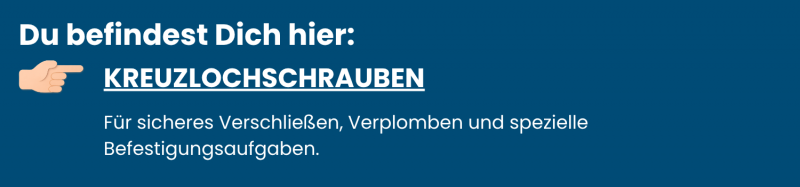 KREUZLOCHSCHRAUBEN 