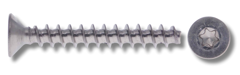9090 Thermoplastschrauben TX-Antrieb Edelstahl A2