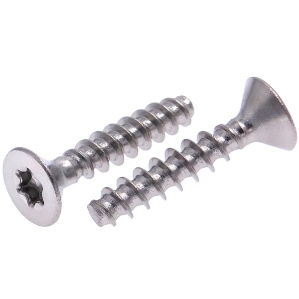 Schrauben für Kunststoff selbstschneidend Senkkopf Torx Edelstahl A2