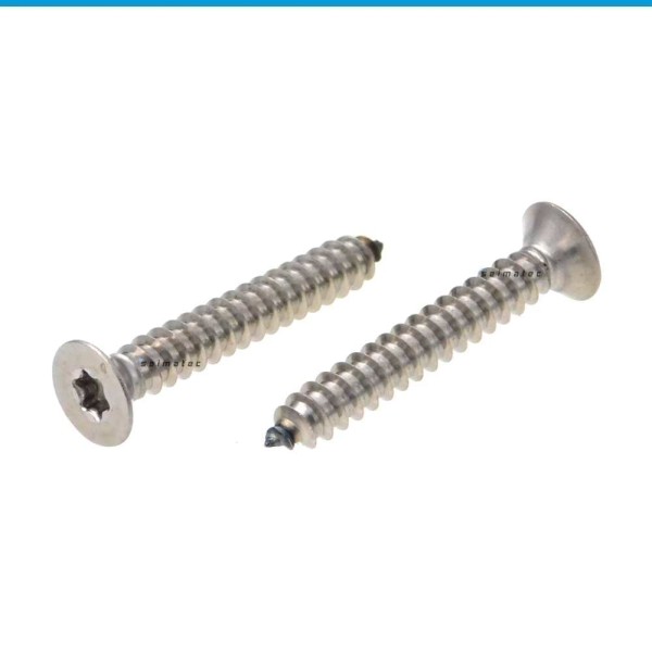 20 St/ück 14 x 0,5 TX-Blechschraube mit Linsensenkkopf A2 Nr 6,3 mm x 13 mm Edelstahl