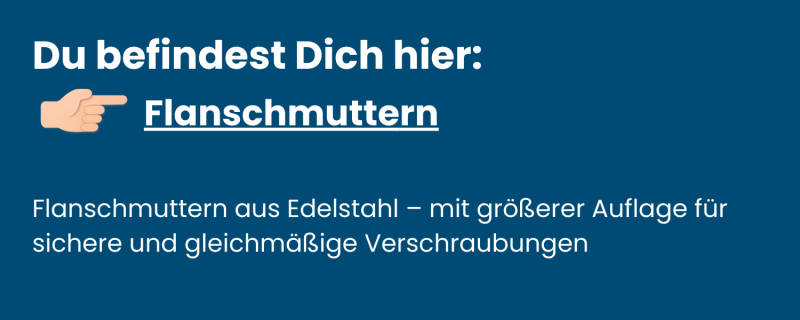 Flanschmuttern Sechskant Edelstahl