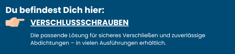 Kategorie-Verschlussschrauben-aus-Edelstahl