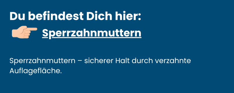 Kategorie-Sperrzahnmuttern