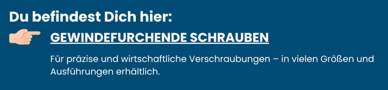 Gewindefurchende Schrauben