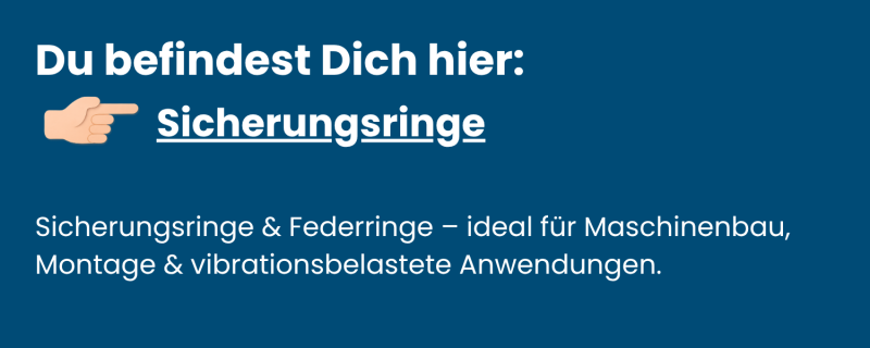 Kategorie-Sicherungsringe-aus-Edelstahl