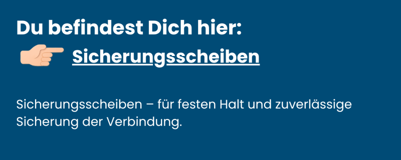 Kategorie-Sicherungsscheiben-aus-Edelstahl