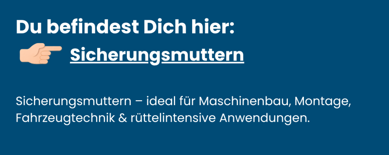 Sicherungsmuttern aus Edelstahl