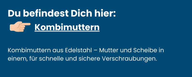 Kombimuttern Edelstahl